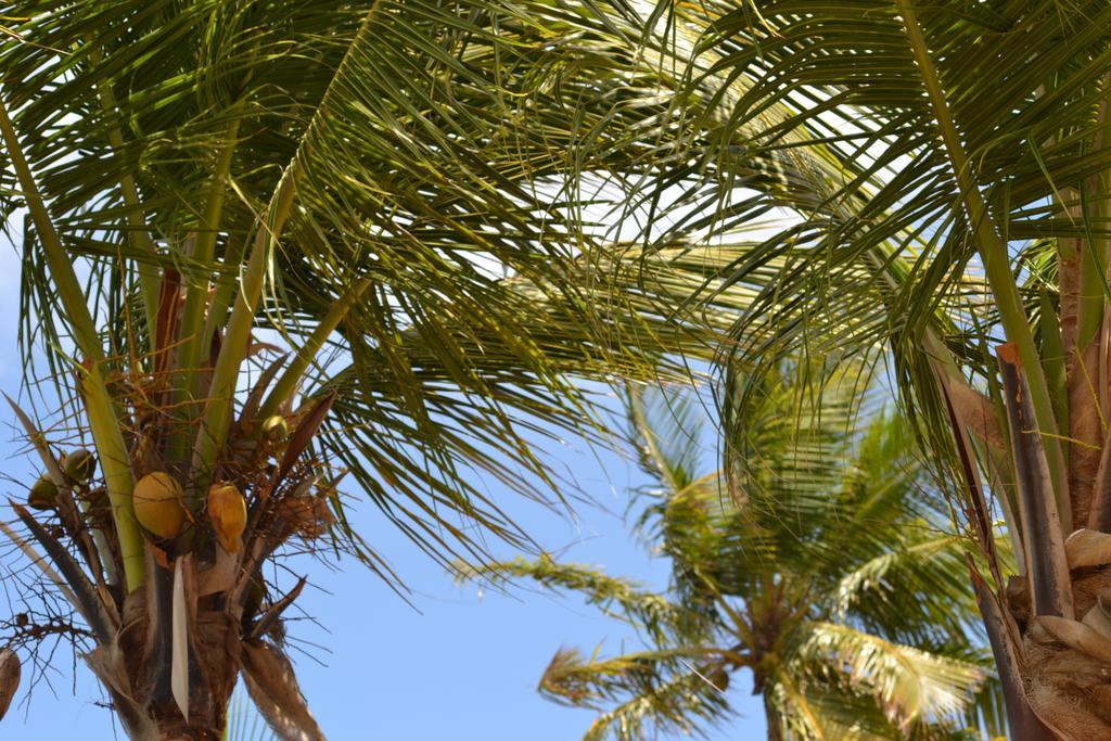 Lindbergh Bay Hotel Altona المظهر الخارجي الصورة